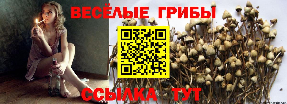 Галлюциногенные грибы GOLDEN TEACHER Ногинск